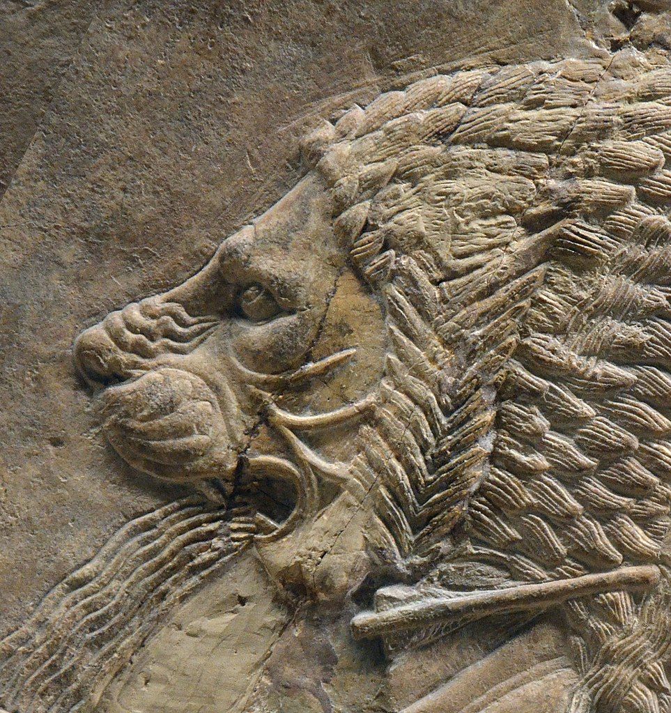 Lev z vykopávek v Ninive 645 př.n.l. C.Raddato CC BY SA 2.0