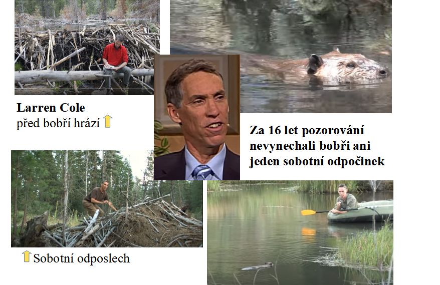 Z terénního pozorování Larrena Coleho. Z videa na youtube